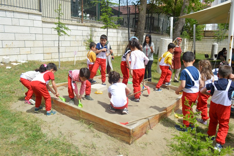 Müzeler Haftası